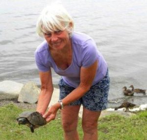 Northern Map Turtle release 2