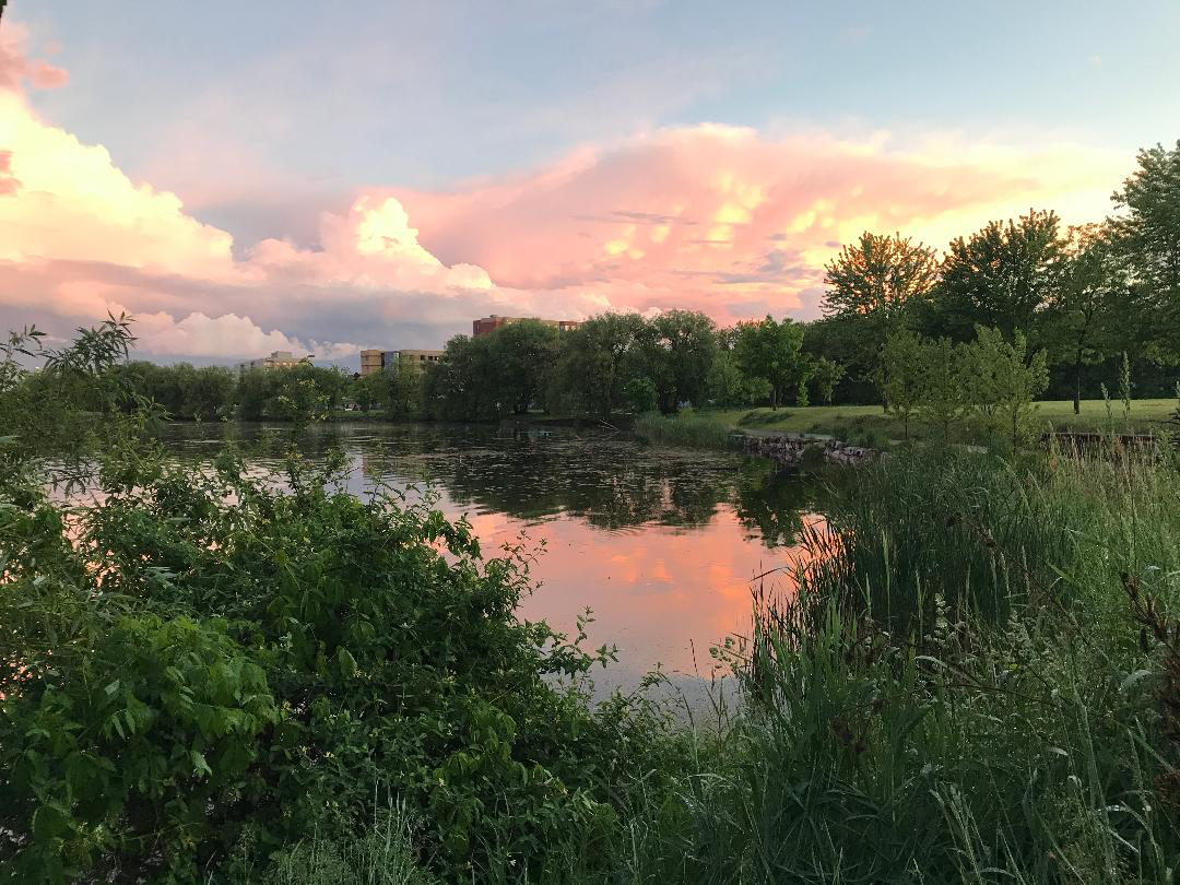 To know a place: Oak Point Nature Preserve: It's 8:00 p.m. Do you